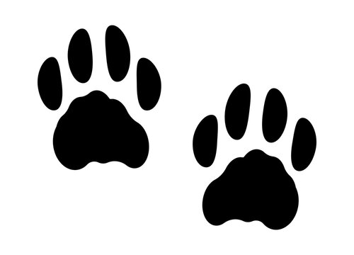 Black animal trails. Paw print. Cat, Bear or Lion footprints. Black traces on a white background.