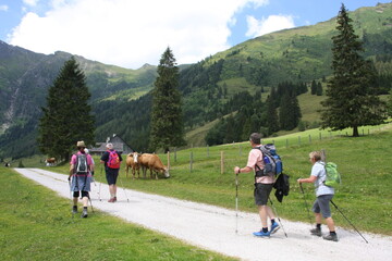 Fototapeta premium steiermark