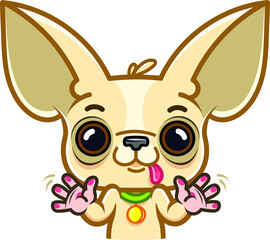 Funny Chihuahua dog emotions