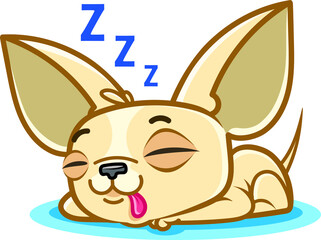 Funny Chihuahua dog emotions