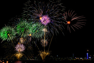 fireworks in the night sky