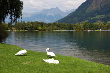 Zeller Lake, Zell am See, Austria, Europe
