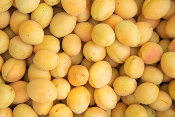 fresh ripe yellow apricot close up, apricot background