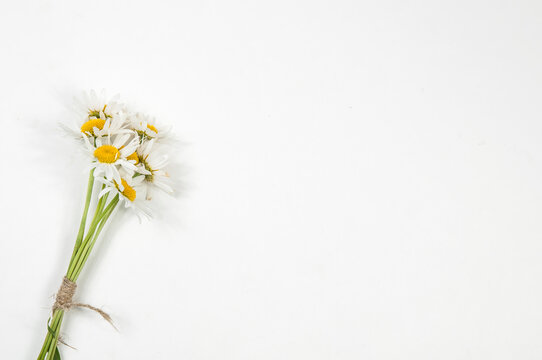 a bouquet of daisies on a white background in the left part of the image ,isolated.