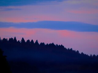 Wieczorne niebo na tle zamglonego lasu