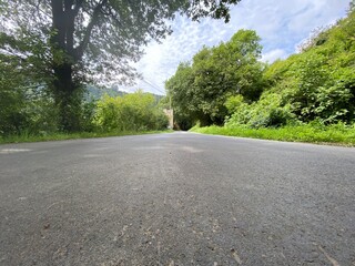 road in the forest