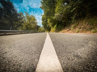 road in the forest