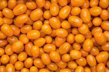 Close-up view of fresh juicy tomatoes.