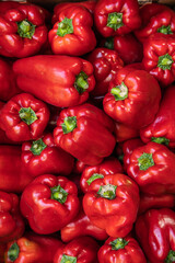 Obraz na płótnie Canvas Red bell peppers on a counter in the supermarket. A large number of red peppers in a pile