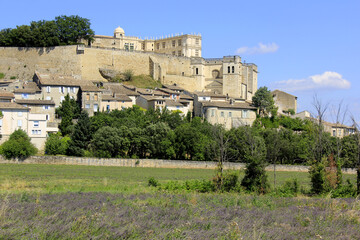 Fototapeta na wymiar Château de Grignan