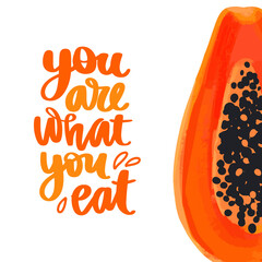 You are what you eat. Vector hand drawn lettering quote about healthy food.