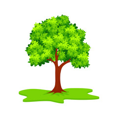 Tree Vector Illustration, simple and trendy with flat design
