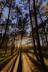 Fototapeta premium Paseo por Vieux Boucao Landes