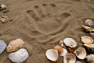 Fototapeta na wymiar Handprint on fine golden dry sand among seashells. no people. Sea, vacation, sealife and summer concept