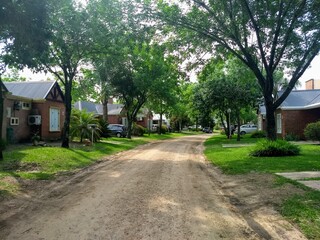 road with trees