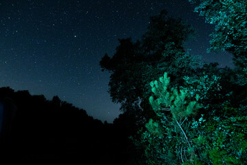Fotografia escelar obtenida en la zona de bosque de Soustons, Landes