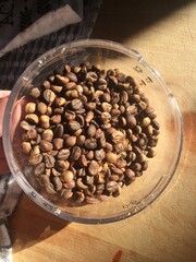 Coffee Beans