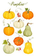 Vector set of cartoon autumn pumpkins, gourd, berries and leaves. Collection for Thanksgiving day, farm market, banners, web design, icon, print isolated on white background. Halloween decoration