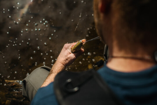 Man removes hook from the mouth of a small fish