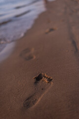 human footprints on sand by the sea in sunset