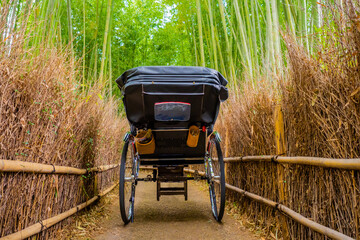 Japan. Bamboo Grove Sagano. Stroller rickshaws rear view. Empty rickshaw stroller in bamboo grove. Tours of Sagano Grove. Sights of Japan. Japanese traditional transport. Footpath in bamboo thickets.