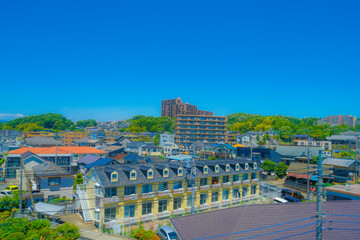 Fototapeta na wymiar 多摩地域の住宅街と青空