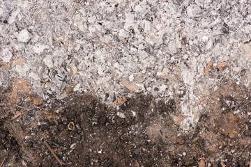 ash close-up. ash texture. space for advertising. the background