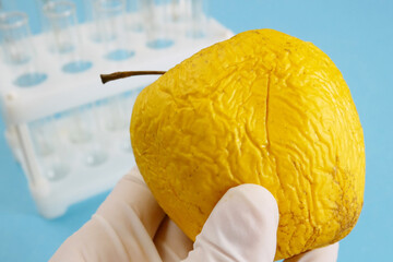 apple in genetic engineering laboratory with syringe and test tubes on blue background, gmo food...