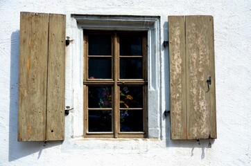 Blumen hinter dem Fenster