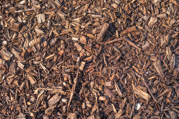 Wood chips on the ground