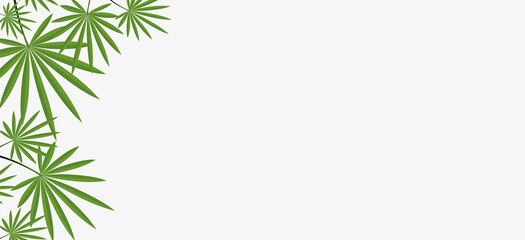 Vector illustration tropical leaves background,use for banner, business cards.Exotic design,summer background.