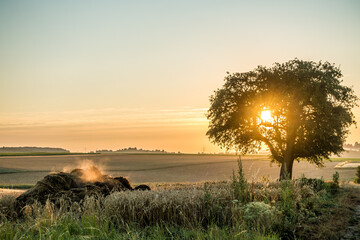 Obraz premium Misthaufen auf dem Feld