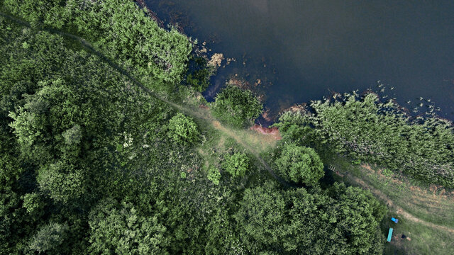 Forest lake shore aerial view