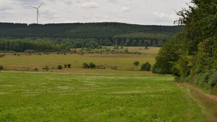 Pansbruch bei Greimerath