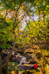 戸越公園の紅葉と人々