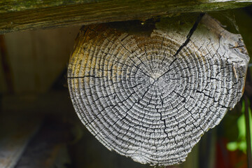 Round log close up