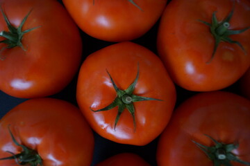 Tomates rojos grandes y sabrosos