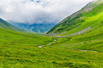 stream in a mountain valley on a summer day