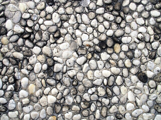 grunge white pebble stone embedded in concrete floor texture, smooth round rocks for decorate beach sidewalk or patio floor or foot reflexology massage spa, abstract background, close up top view