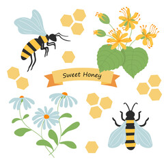 Set of bees, honeycomb, linden flowers and chamomile. Beekeeping collection. Vector illustration