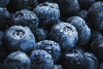 Juicy and ripe Blueberries close - up in full screen with dew drops.
