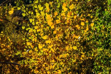 Bartley Ranch Regional Park Reno Nevada