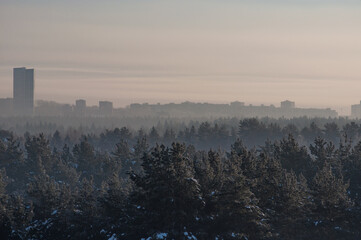 Fototapeta premium fog in the city
