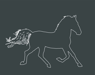 Obraz na płótnie Canvas Elegant horse in gallop, vector line contour illustration. Horse race silhouette isolated on black background. Farm animal.