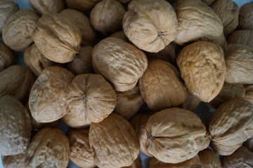 Las nueces están muy ricas y son buenas para la memoria