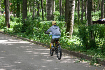 A boy riding a bicycle along the paths of the park