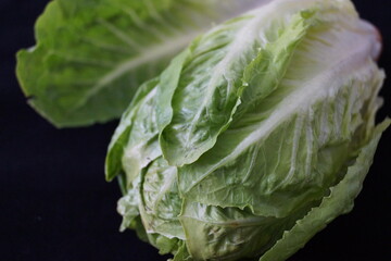 Lechugas largas para ensalada