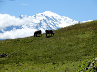 Vue exceptionnel sur le mont-blanc et la vall&eacute;e de chamonix