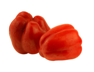 red bulgarian pepper isolated on white with water drops