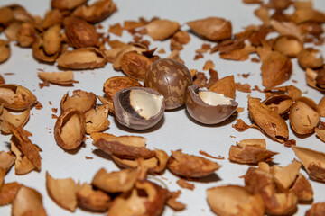 Macadamia shells and almonds that were thrown away on a white background